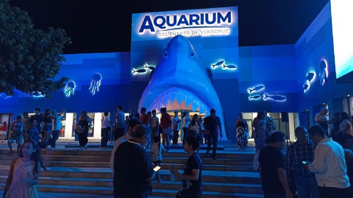 Así se vivió la reapertura del Aquarium del Puerto de Veracruz