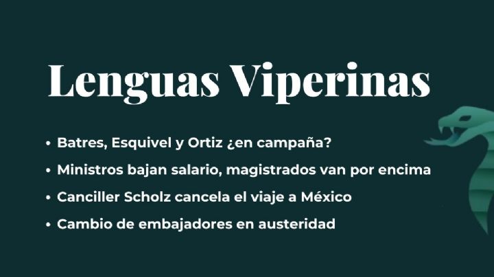 Lenguas Viperinas