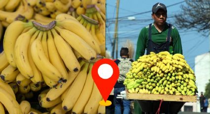 Veracruz, tercer estado con más producción de plátano en México