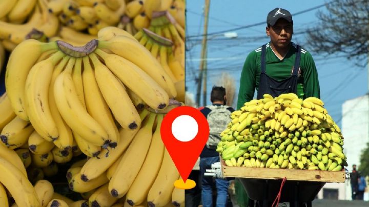 Veracruz, tercer estado con más producción de plátano en México