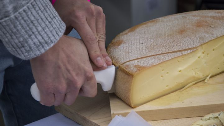 Queso cheddar, el producto gourmet al centro de una estafa millonaria