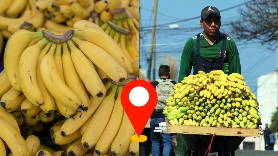 Veracruz, tercera entidad líder en producción de plátano en México gracias a estos 4 municipios