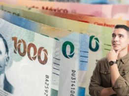 ¿Cuánto dinero se otorgará en vales de despensa?