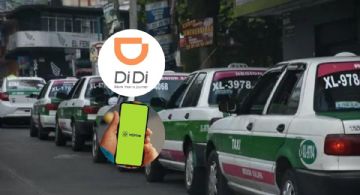 ¿Quiénes pueden ofrecer servicio de transporte por DiDi e InDrive?