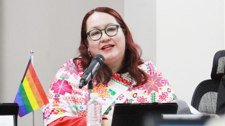 Descarta Tania Meza dejar diputación por cargo en gobierno federal