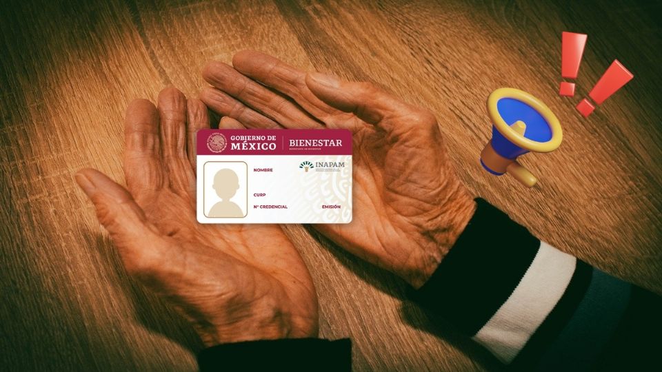 El grupo de adultos mayores en México representa un sector en crecimiento debido al envejecimiento de la población, pues según las estadísticas, más del 15% de la población total son adultos mayores.