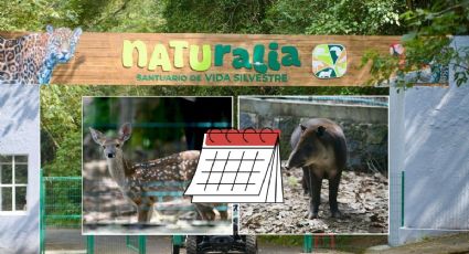 Nuevo parque Naturalia en Xalapa: Este día será la inauguración