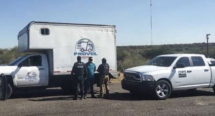 Rescatan a 53 migrantes guatemaltecos en Zacatecas