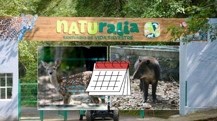 Nuevo parque Naturalia en Xalapa: Este día será la inauguración