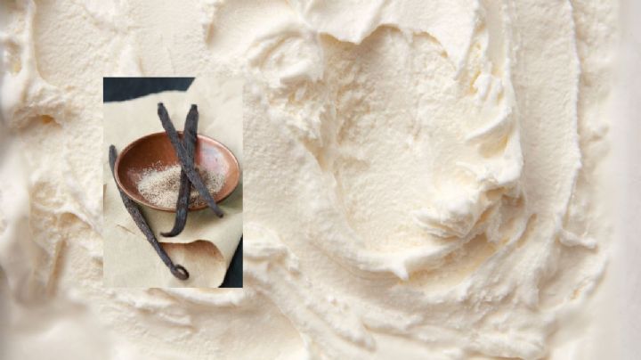 Por esta razón, Veracruz hizo famosa a la tradicional nieve de vainilla