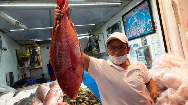 3 lugares en Veracruz para comprar mariscos frescos y a buen precio