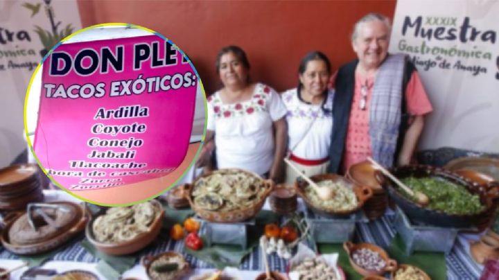 ¿Cuál es el municipio de Hidalgo con la comida más rara?