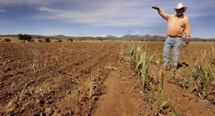 Estados Unidos exige pago de agua mientras Tamaulipas enfrenta sequía extrema