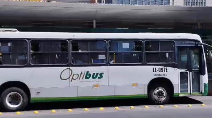 ¿Cuántos años dura una Oruga circulando en las calles de León?