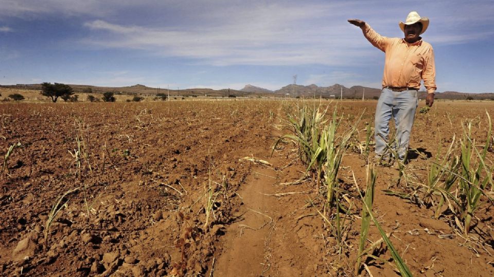 La sequía que afecta a Tamaulipas podría complicar la situación si se pagara a Estados Unidos el agua que solicita