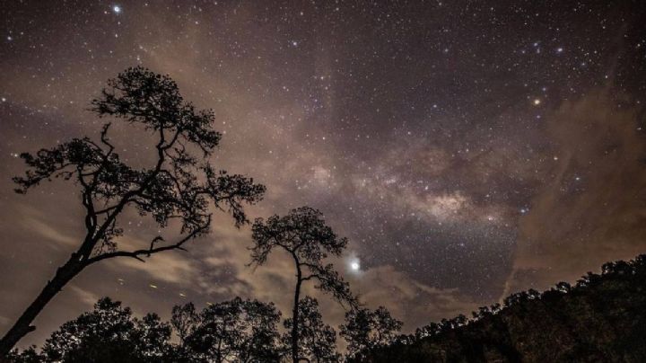 La zona de Guanajuato donde se aprecian cielos estrellados y paisajes naturales