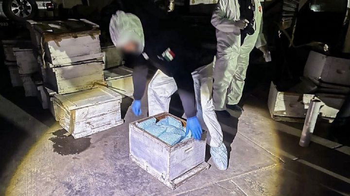 Mexico “combate” al fentanilo sin información precisa ni actualizada