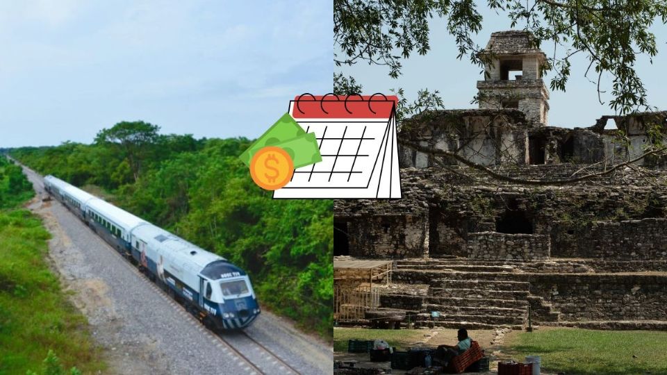 Tren Interoceánico: Viajes de Veracruz a Chiapas por menos de 250 pesos en diciembre