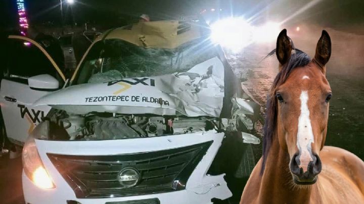 Taxista destroza su automóvil al impactar contra un caballo en Hidalgo, el animal murió