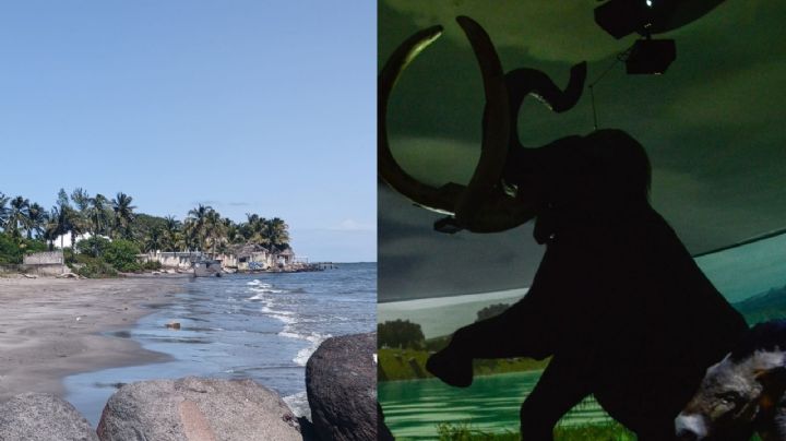 En esta playa poco conocida de Veracruz encontraron fósiles de mamuts