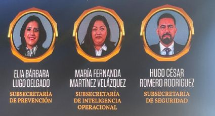 ¿Quiénes son los subsecretarios de Seguridad en Guanajuato?