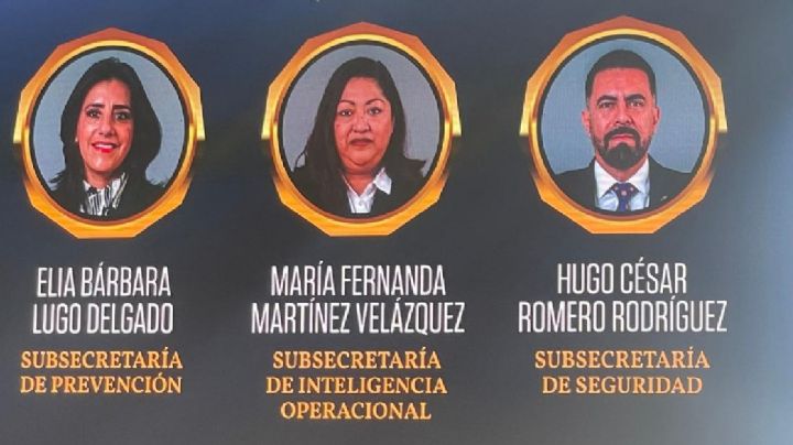 ¿Quiénes son los subsecretarios de Seguridad en Guanajuato?