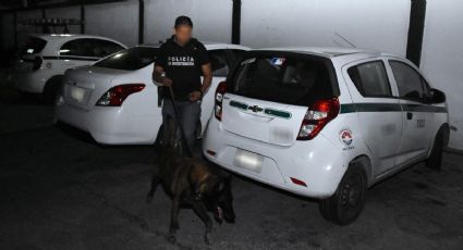 Hallan cuarto de torturas, cartuchos y droga en Sindicato de Taxistas de Cancún