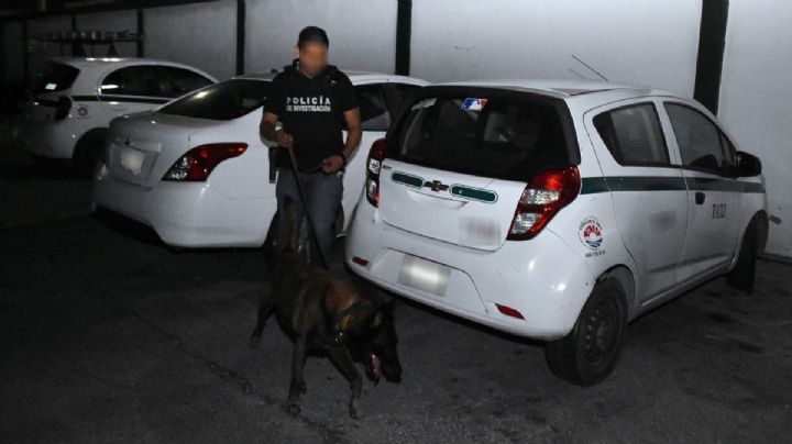 Hallan cuarto de torturas, cartuchos y droga en Sindicato de Taxistas de Cancún