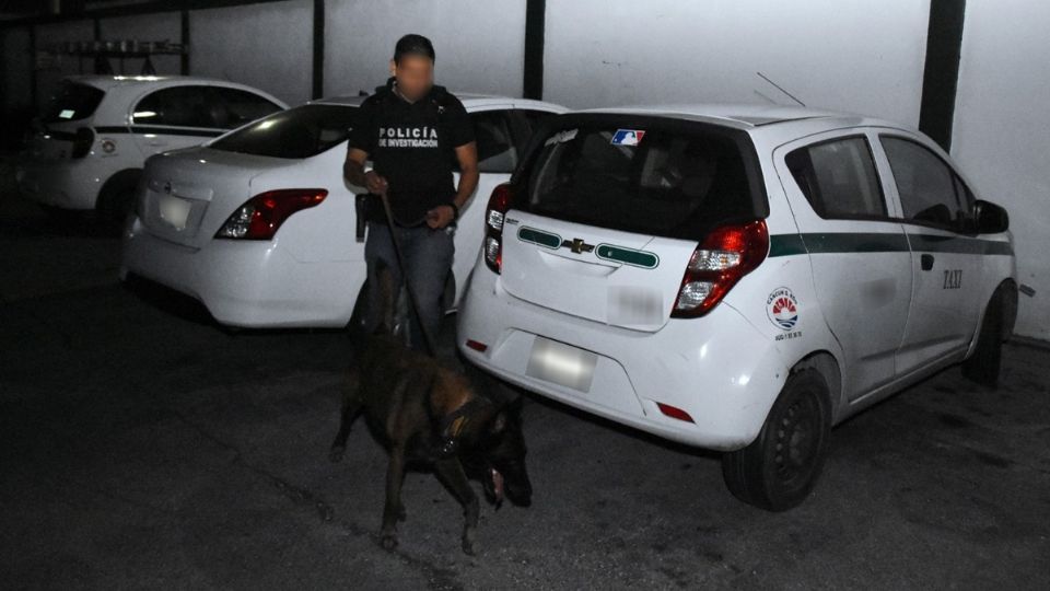 Cateo en sindicato de taxistas de Cancún