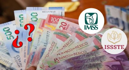 IMSS e ISSSTE: Pensionados reciben buena y mala noticia para el Buen Fin 2024