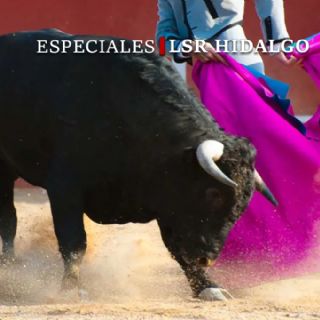 Corridas de toros: ¿Patrimonio cultural o maltrato animal?