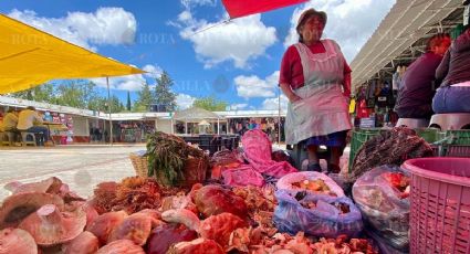 Los hongos del monte, desde hace 15 años son el sustento de María Guadalupe