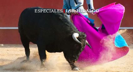 Corridas de toros: ¿Patrimonio cultural o maltrato animal?