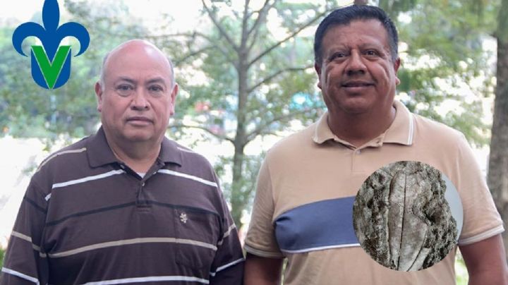 UV cuenta con área de paleontología y una colección de fósiles