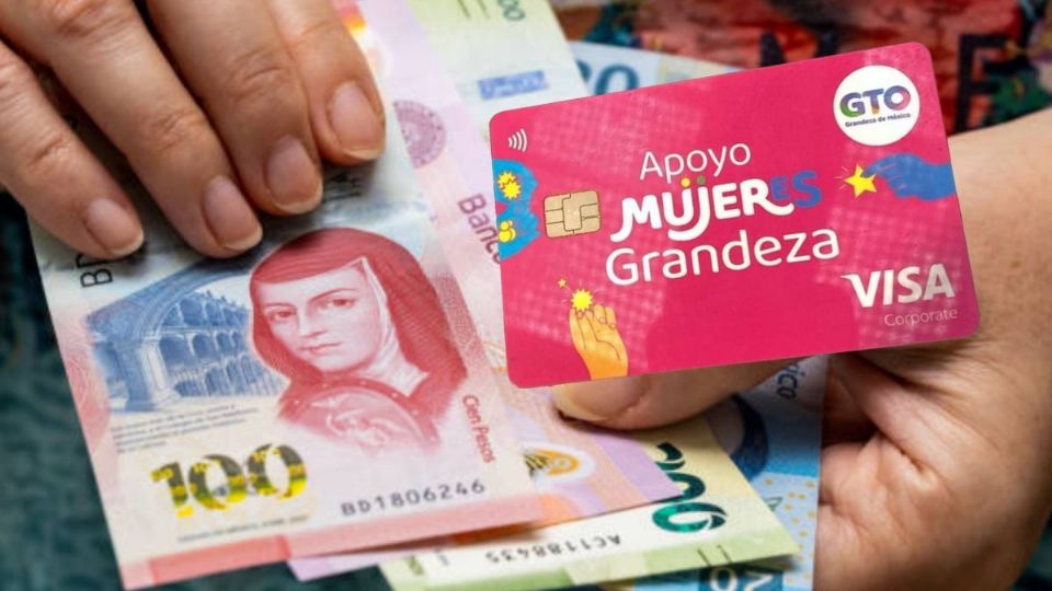 El registro para tramitar la Tarjeta Rosa en Guanajuato comenzará durante noviembre de este año.