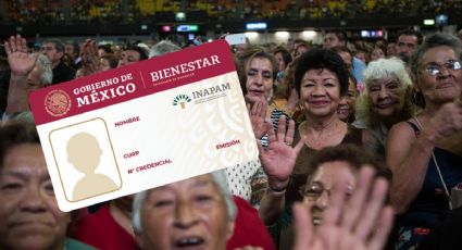 Tarjeta INAPAM: ¿Quiénes deben renovarla en Veracruz?