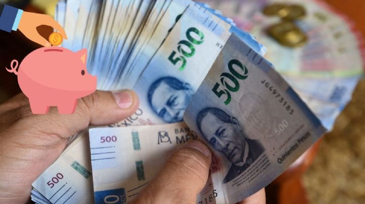 ¿Cómo puedo elegir un seguro de vida en Veracruz?