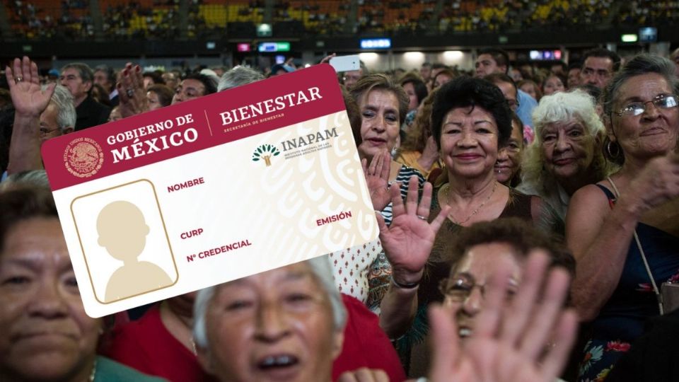 El INAPAM es una organización que se dedica a promover el bienestar y los derechos de aquellas personas que rebasan los 60 años de edad en Veracruz.