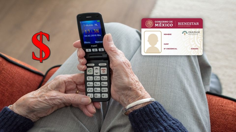 Los adultos mayores de 60 años y más reciben su tarjeta INAPAM, la credencial que les permite acceder a beneficios y descuentos en distintos rubros.