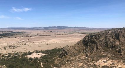 Tunal El Grande: los antiguos bosques de nopal en Guanajuato