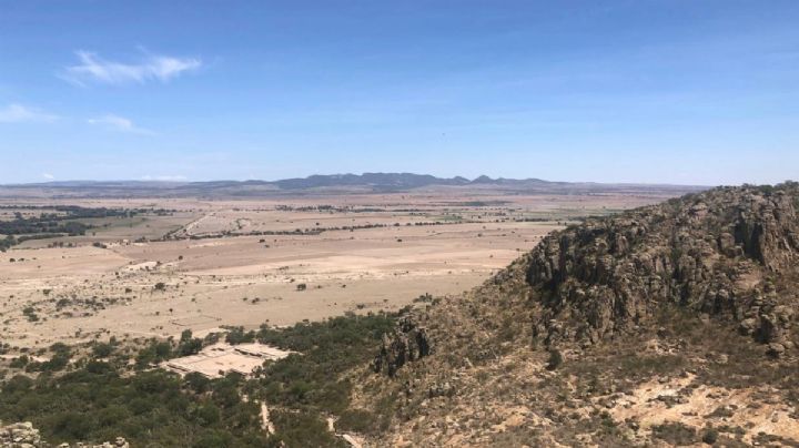 Tunal El Grande: los antiguos bosques de nopal en Guanajuato