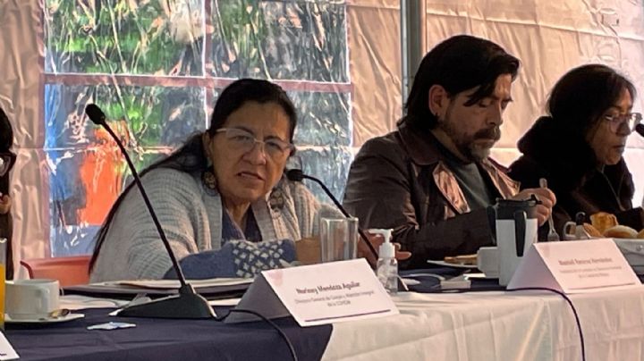 Por golpiza a manifestantes en Xochimilco, ya se abrió queja formal: CDHCM