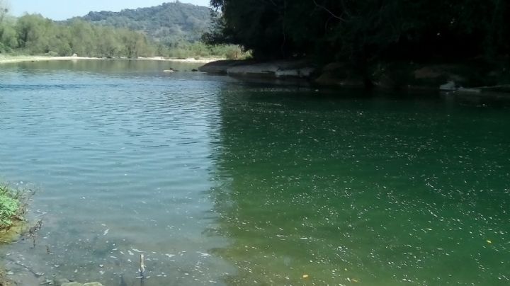 ¿Cuál es el municipio de Hidalgo con el río más largo?