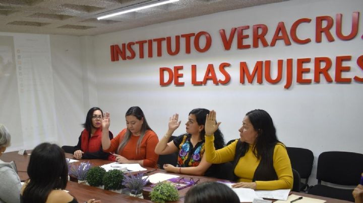 El ABC para el proceso de designación en el Instituto Veracruzano de la Mujer 