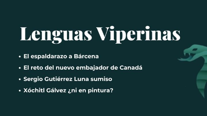 Lenguas Viperinas
