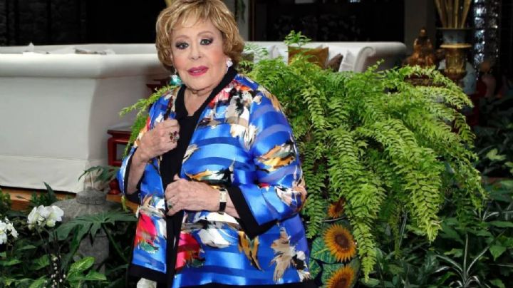 ¿Cómo se repartió la herencia de Silvia Pinal, qué le tocó a cada quién?