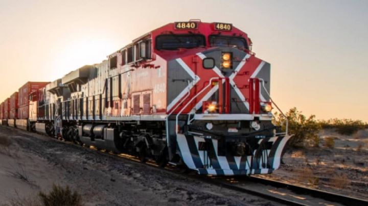 Hombre intenta subir al tren, cae y muere arrollado por el convoy