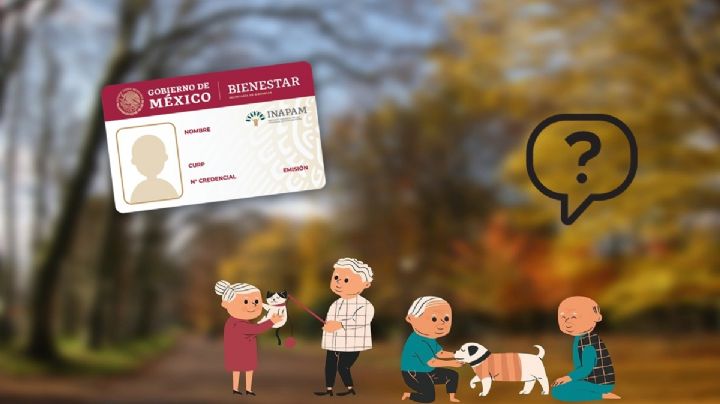 Tarjeta INAPAM: Así es el nuevo beneficio en diciembre para adultos mayores