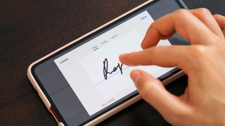 SAT lanza ultimátum a estos contribuyentes: Deberán renovar e.firma, a partir del 1 de enero