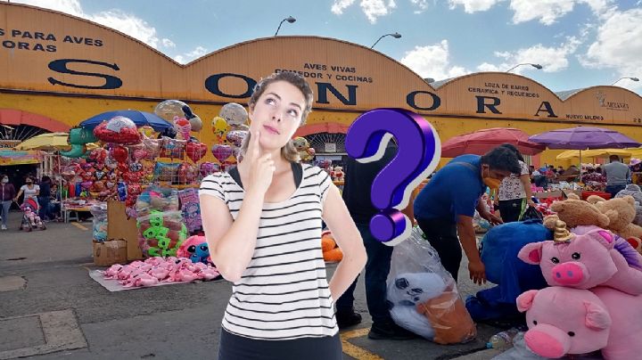 ¿Quién es el dueño del Mercado Sonora, el lugar conocido como de los brujos y de los animales?